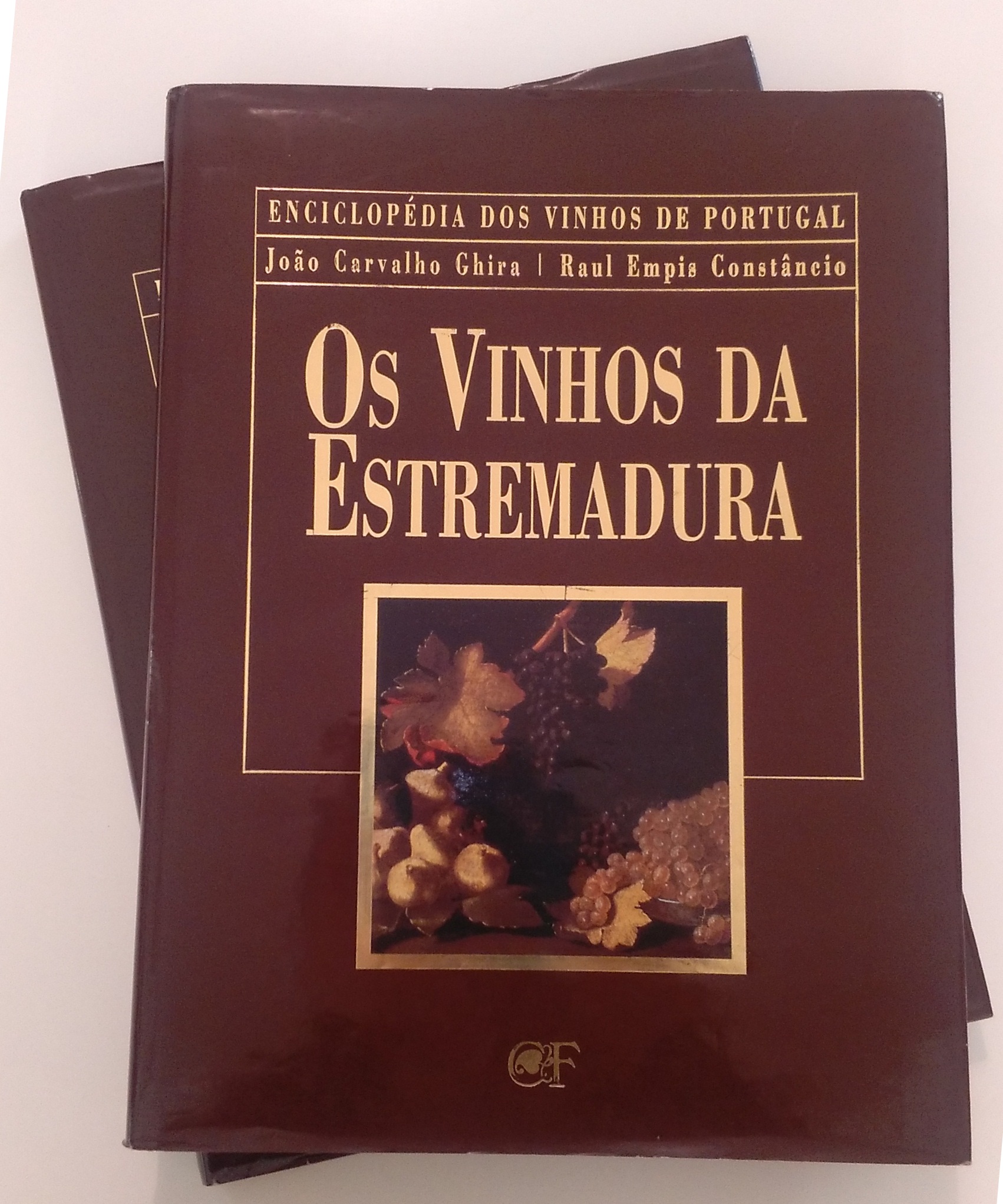 Newsletter n.º 42 - Foto 7